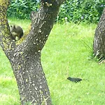 Trogirsunset - Since 2000 Trogir