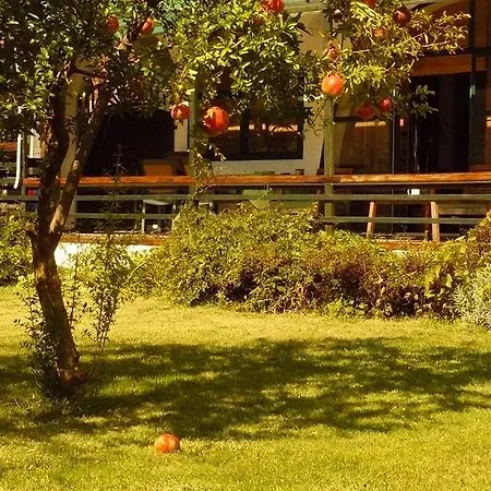 Trogirsunset - Since 2000 Lejlighed *