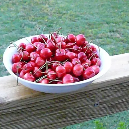 Trogirsunset - Since 2000 Trogir