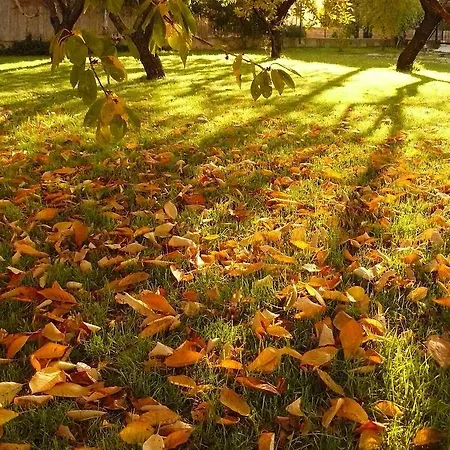 Trogirsunset - Since 2000