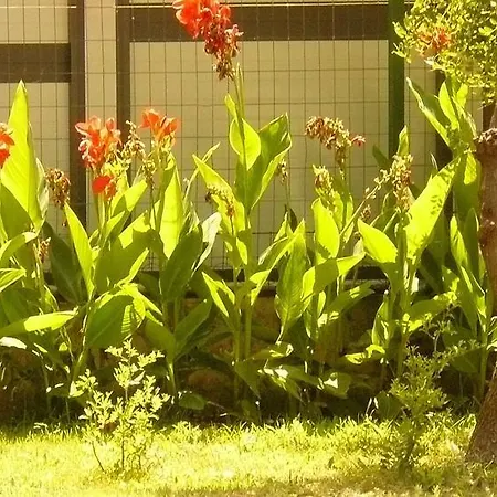 Trogirsunset - Since 2000 شقة *