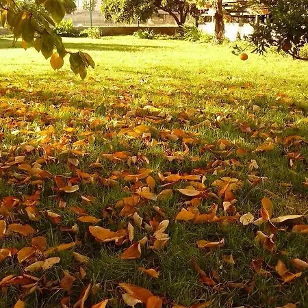 شقة Trogirsunset - Since 2000 تروغير