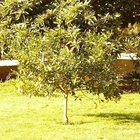 Trogirsunset - Since 2000 تروغير